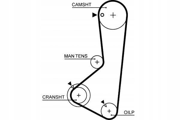 фото №2, Ремінь розподільного валу hyundai h-1 h-1 / starex h100 sonat