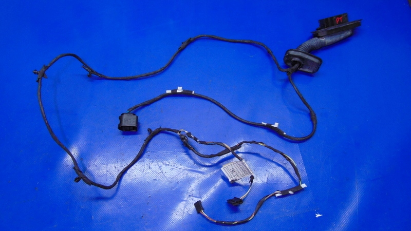 фото №1, Жгут электропроводка дверь правый задняя bmw f10 f11 10+