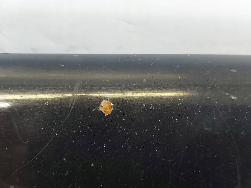 Капот крышка багажника крышка двигателя перед передняя opel astra h 3 gtc a04 с Разборки