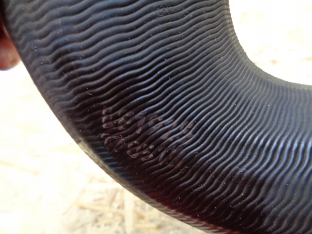 фото №3, Ford transit custom 2.2 tdci wąż интеркулер