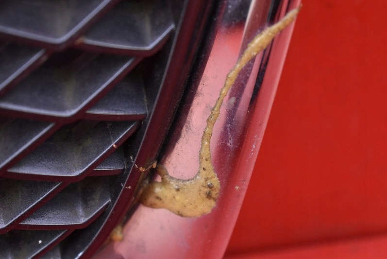 фото №7, Решётка радиатора решётка радиатора хром 71743-65j0 suzuki grand vitara 2 ii 05-14