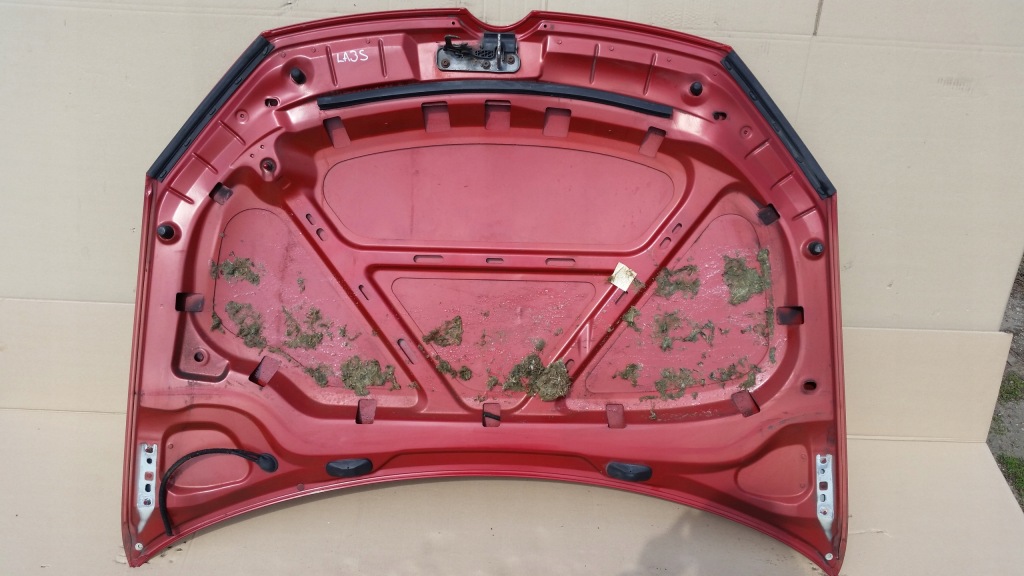 фото №15, Vw golf vi 08-12 капот передняя la3s