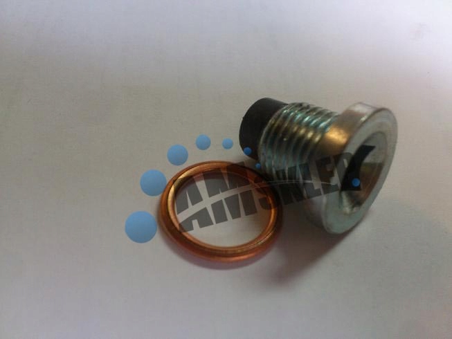 Кришка оливи болт картера масляний renault магніт Доставка