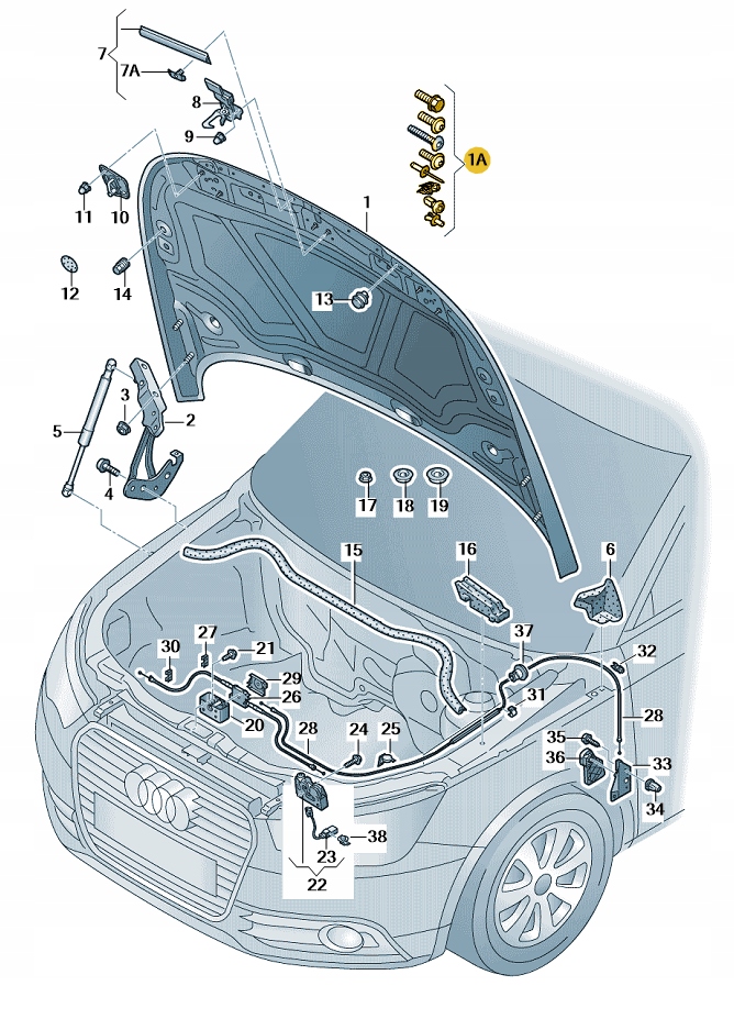 Купить Набор элементов mocująych передняя капот audi a1 aso оригинал