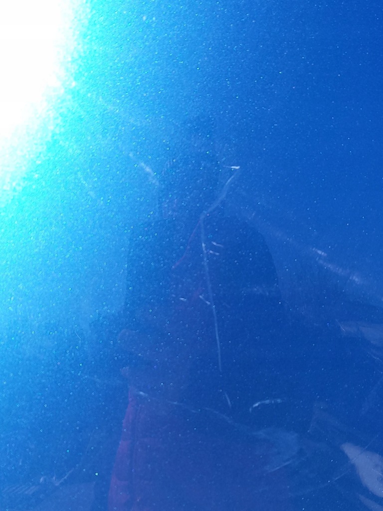 фото №7, Капот renault zoe