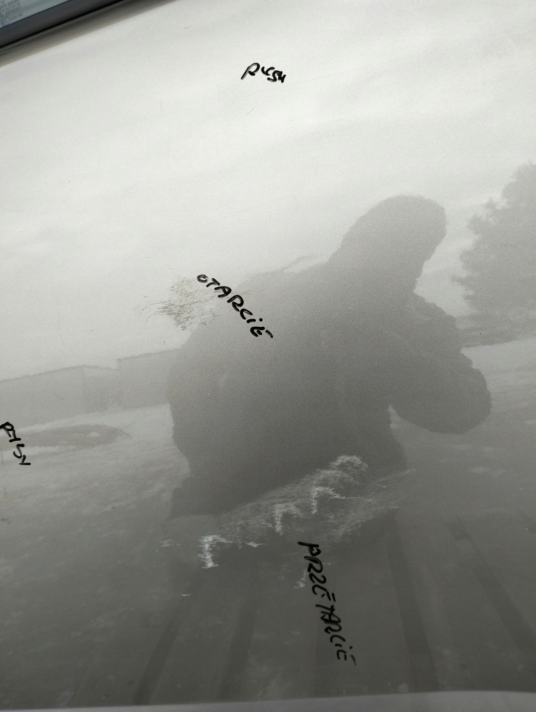 фото №6, Дверь левый задняя задние peugeot 3008 i цвет evgc lata 09-12 оригинал