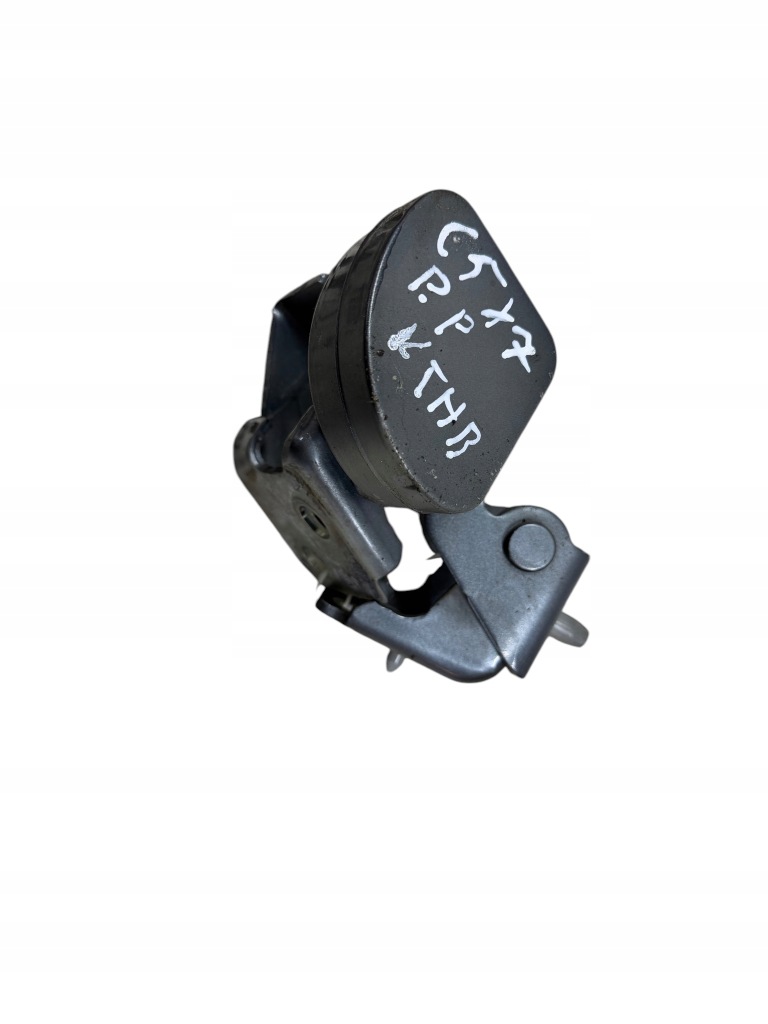 Купить Петли дверь правый перед citroen c5 3 x7