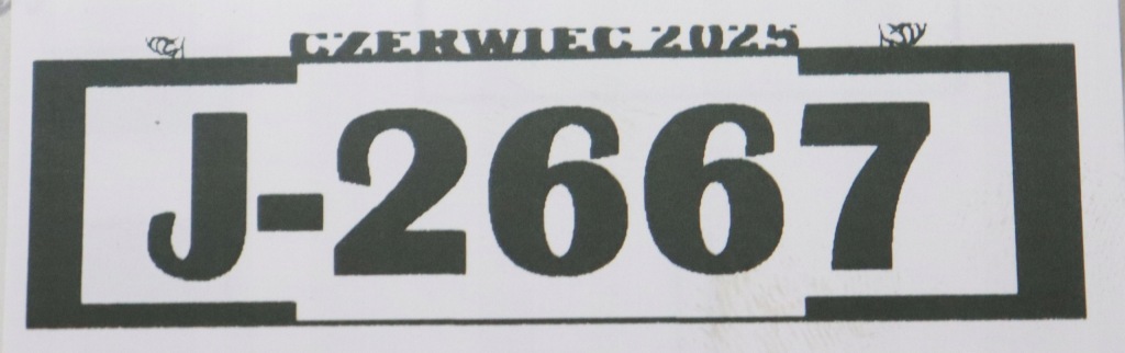Citroen ds4 full led лампа левый перед 985170078000 j-2667 в Украине