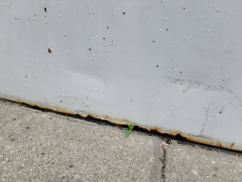 фото №3, Mercedes sprinter 906 дверь левая перед