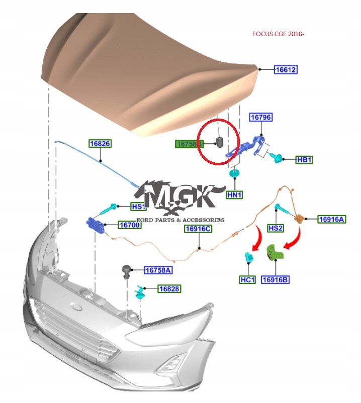 фото №5, Отбойник капот focus 2011--2019 focus 2018- оригинал