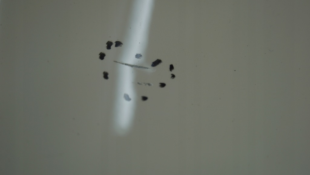 фото №9, Peugeot 207 sw lift капот кришка перед ewpb