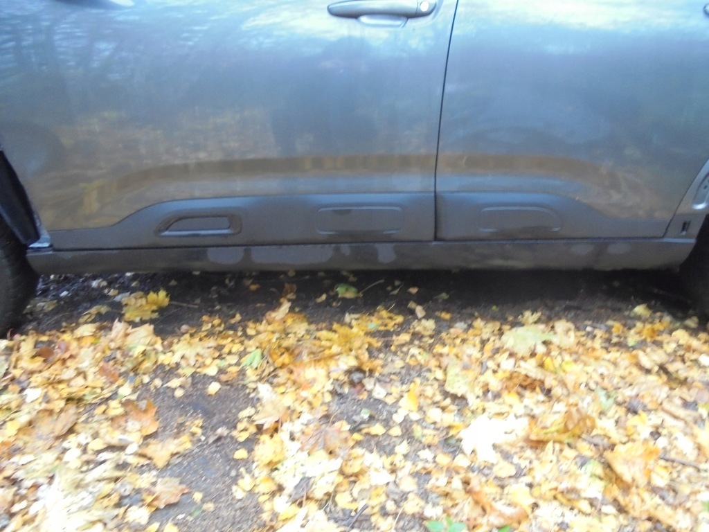 Купити Накладка поріг захист  порога  лівий citroen c4 cactus рестайлінг  fl 9823576577 slask