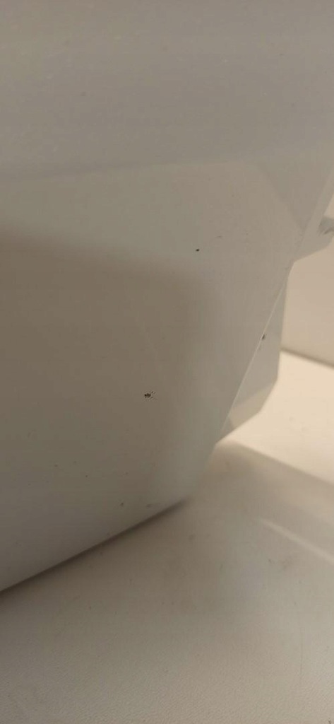 фото №14, Seat tarraco бампер задня 2024 l0k1