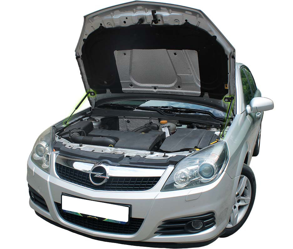 фото №1, Амортизаторы пружины газовые капот opel vectra c iii