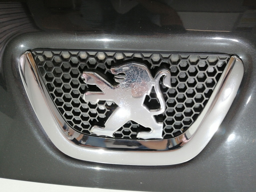 фото №10, Капот peugeot bipper