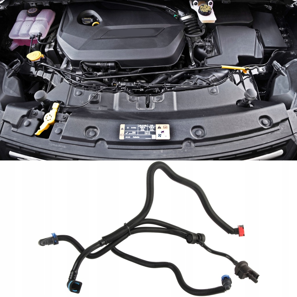 Клапан сбросной haniacza пары cv6z9d289b заменитель для  transit connect lc Недорого