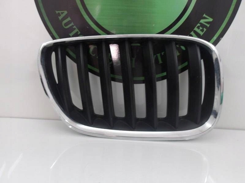 фото №1, Bmw x5 e53 решітка радіатора решітка радіатора бампер правий перед