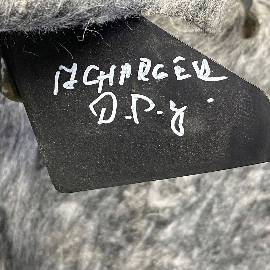 фото №9, Dodge charger 2017 правая сторона обшивка / обивка / багажника