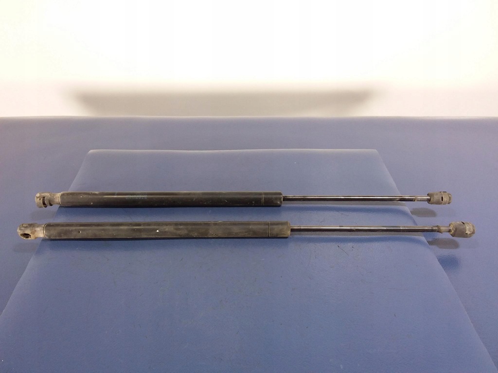 фото №1, Scenic ii амортизатори задній кришки