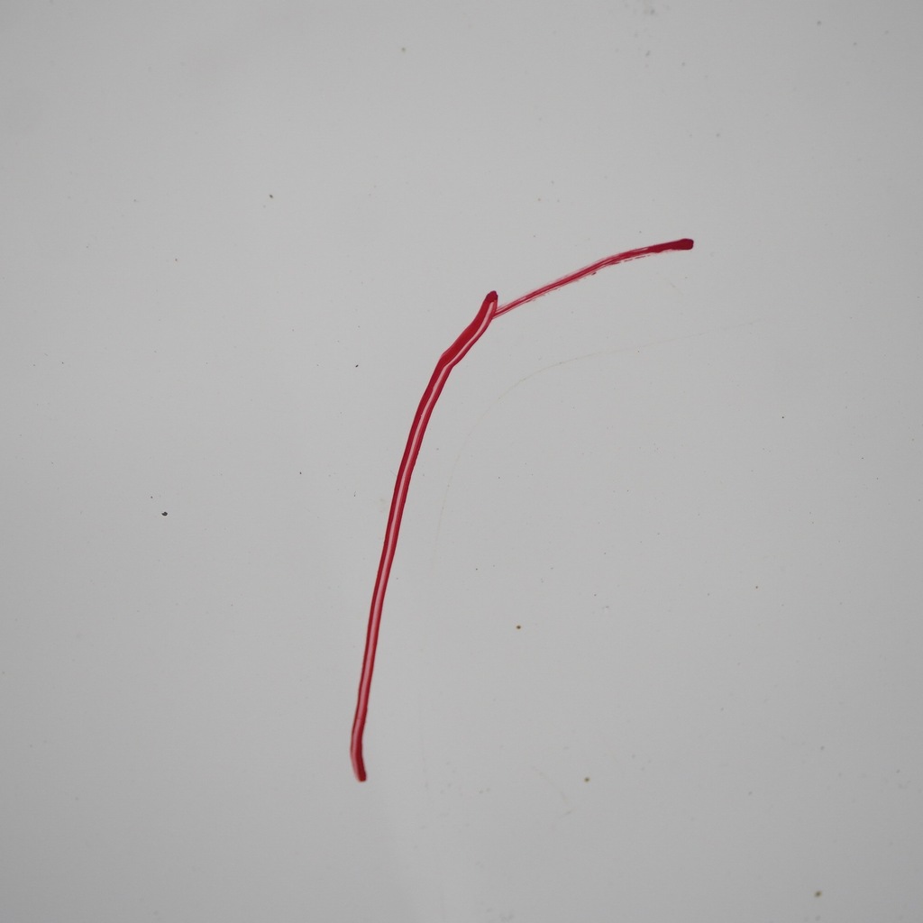 фото №15, Ford transit connect капот двигуна frozen white z2