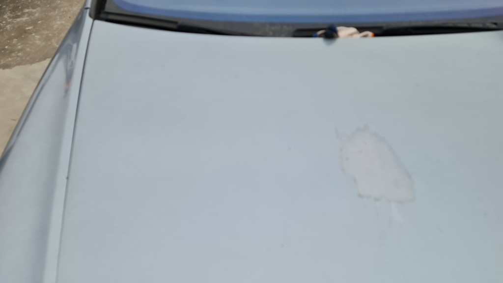 фото №5, Капот крышка двигателя audi a6 c6 ly7h lubelskie