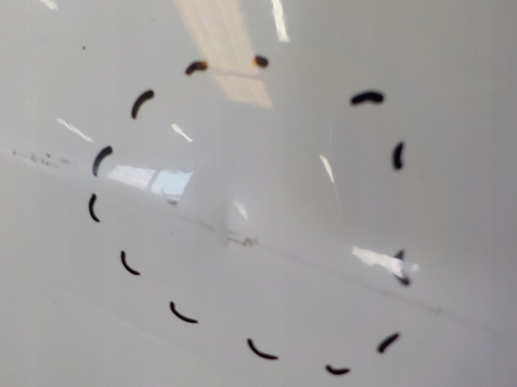 фото №4, Mazda cx-5 12-17 двері задня задні праве