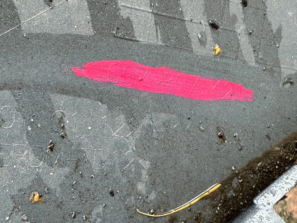 фото №9, Skoda scala 19- бампер задняя задний