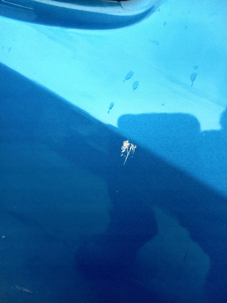 фото №3, Peugeot 208 ii дверь правое передние