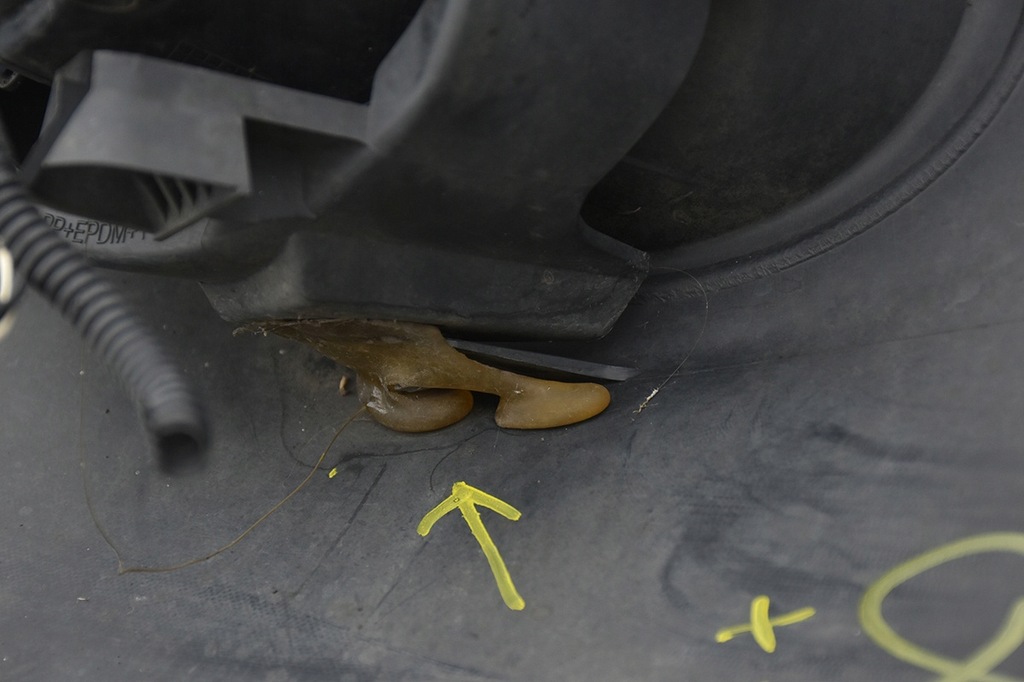 фото №15, Бампер передній перед nissan qashqai j10 z11