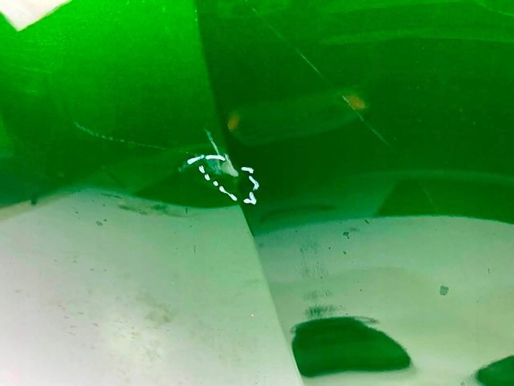 фото №10, Peugeot 308 iii t10 21- капот крышка двигателя