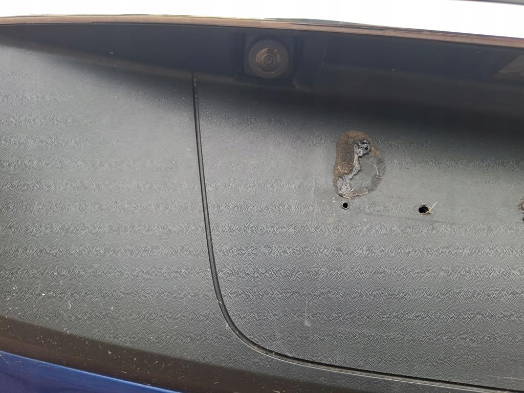 фото №11, Задня кришка багажника dacia lodgy lift 2020 bez скло