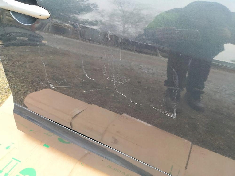 фото №10, Дверь правый перед renault scenic iii teb66 2008- teb66