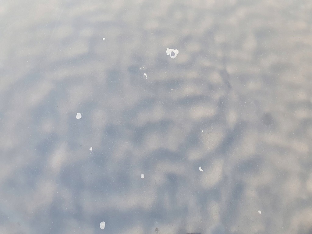 фото №5, Капот кришка двигуна audi a8 d3 lift 05-09 lz5d