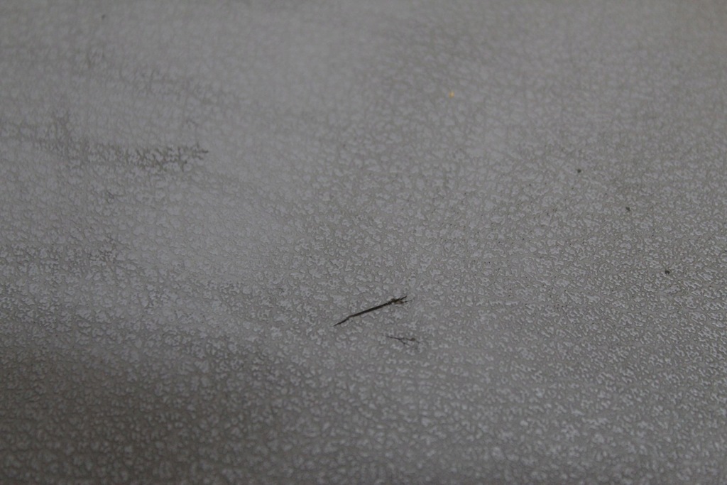 фото №5, Підголівник сидіння подвійний правий перед vw lt 35