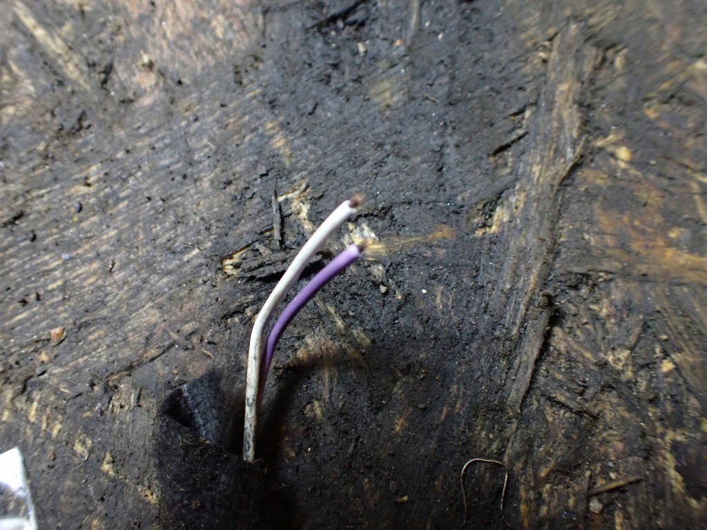 фото №5, Ручка дверь правый перед renault grand scenic iii 11r 1.6 dci 806060042r