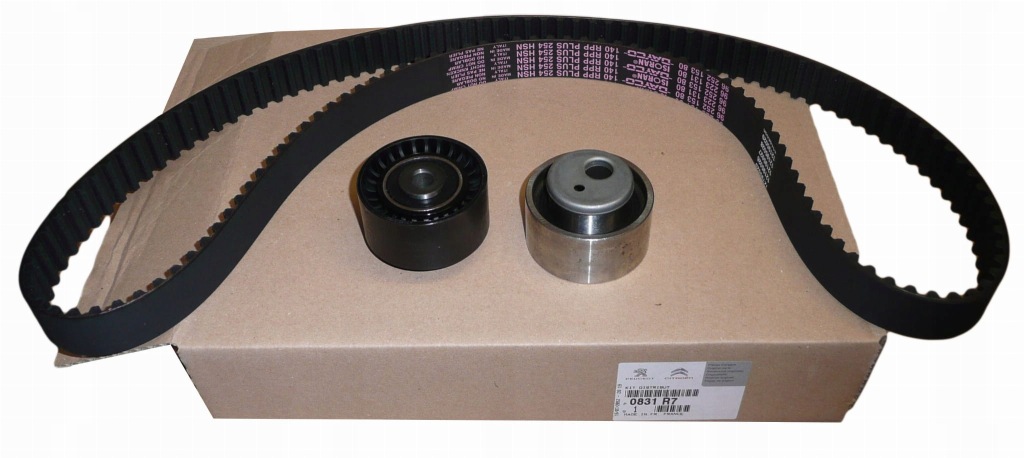 фото №1, Грм kpl citroen berlingo 206 1.9d dw8 0831.r7