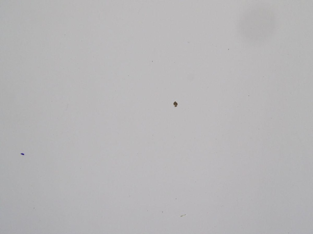 фото №7, Iveco daily iv v 06-14 дверь правый перед широкая молдинг