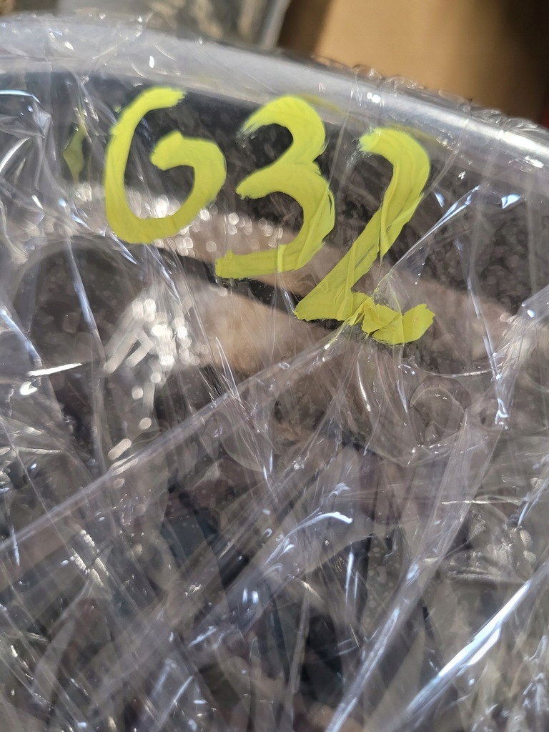 фото №15, Renault zoe i 1 решітка середня хром