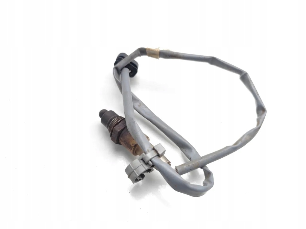 Ford focus датчик лямбда-зонд 1.0 ecoboost mhev mild hybrid 114kw 155 hp 2022 Недорого