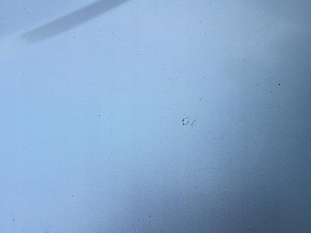 фото №7, Капот крышка двигателя mazda rx-8 rx8