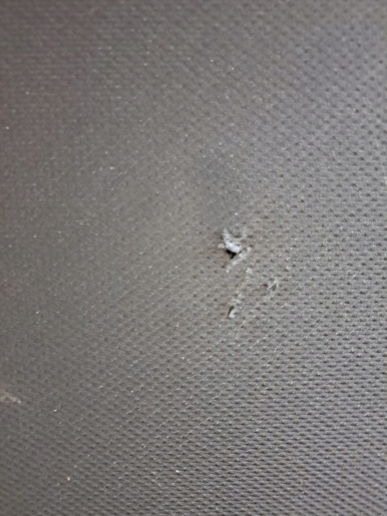 фото №8, Панорама audi a4 b9 kombi 8w9877041b