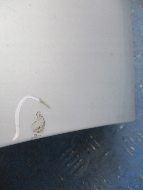 фото №3, Xsara ii hb задня кришка багажника багажника срібляста eylc