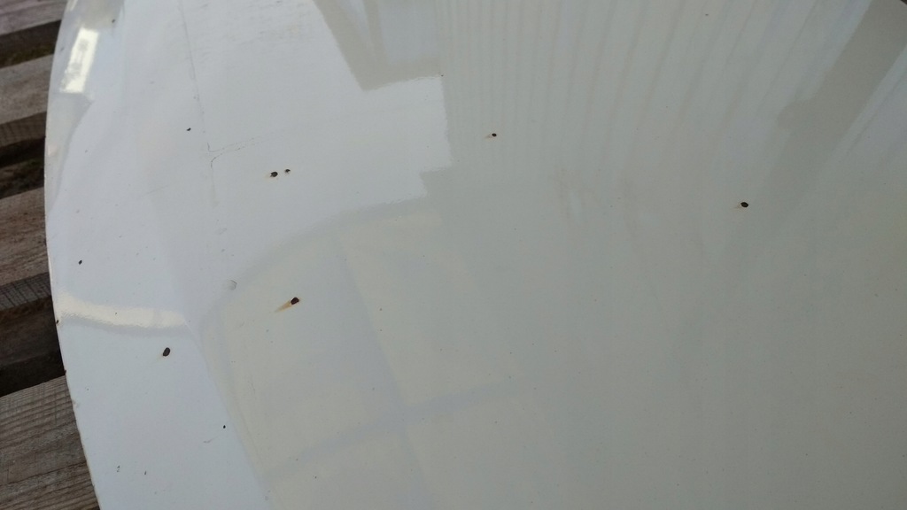 фото №6, Капот hyundai i10 i 07-13 lift цвет pjw оригинал