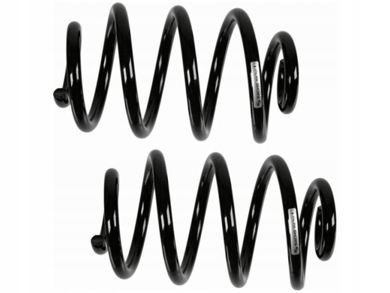 фото №1, Пружини задня nissan leaf 10-