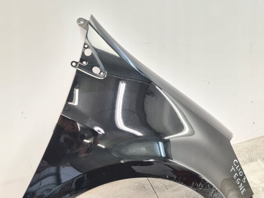 фото №12, Renault clio iii крыло правый перед tegne 195