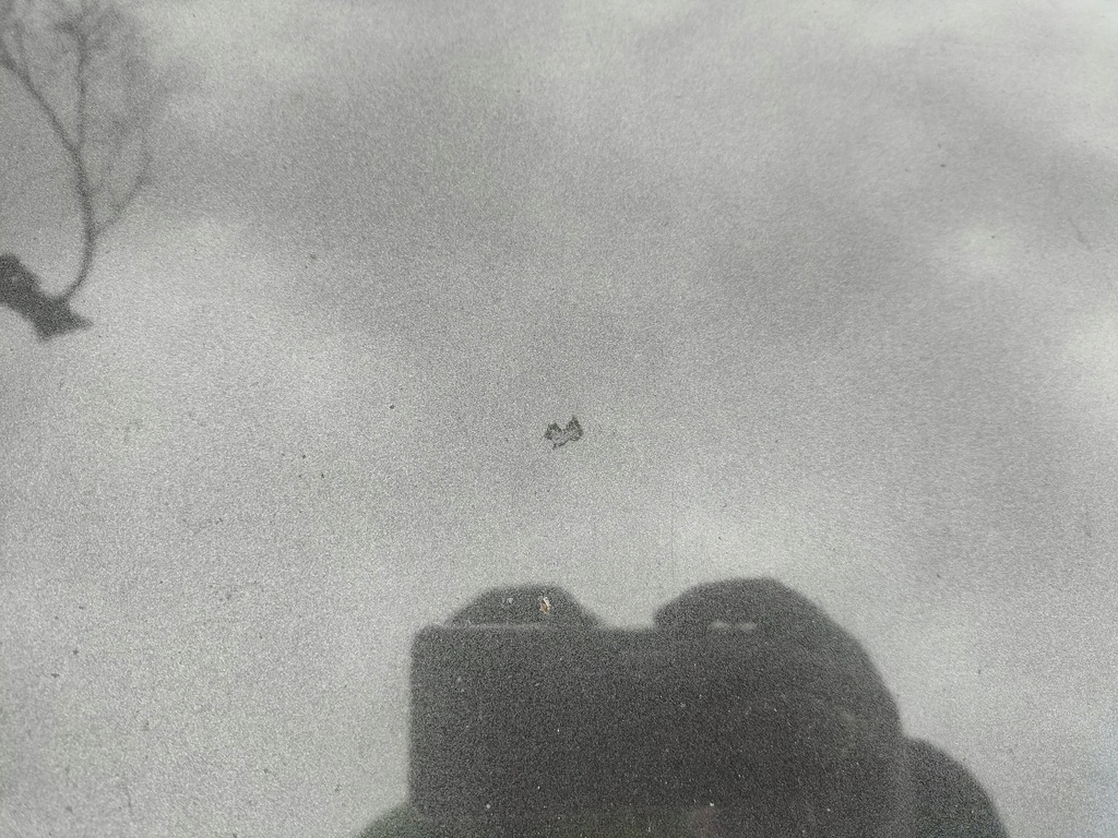 фото №14, Renault scenic iii - grand scenic iii 2010 капот крышка двигателя teb66