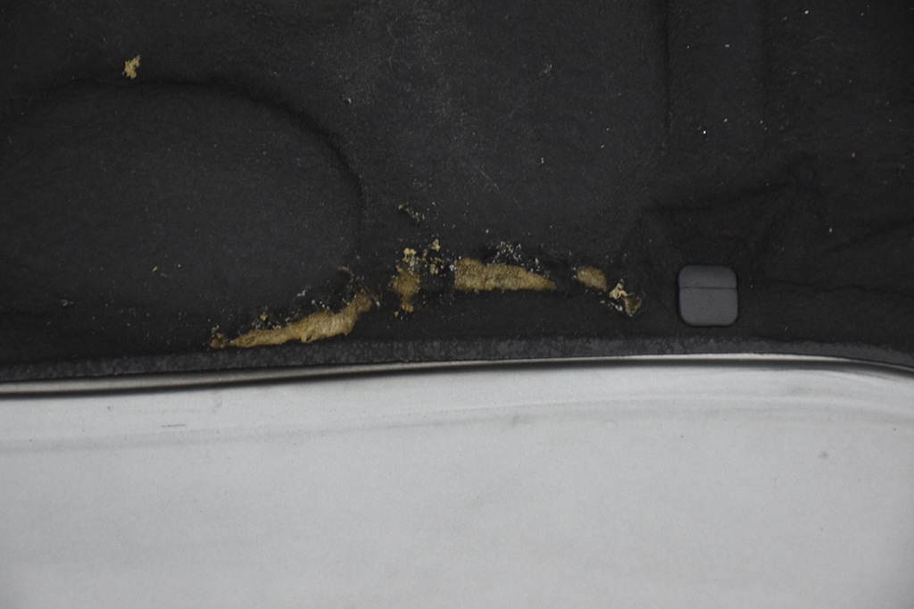 фото №10, Капот крышка двигателя audi a6 c5 ly7q