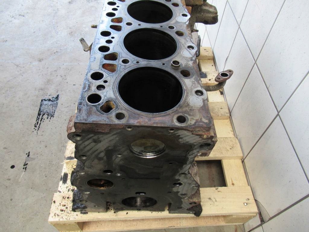 фото №15, Блок двигателя daf lf 55.220 euro3 fv vat