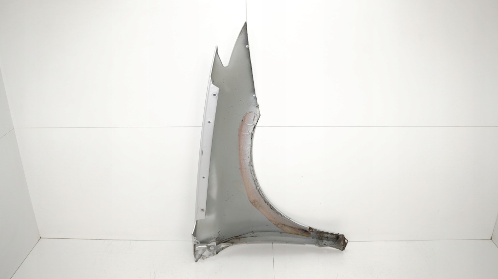 фото №12, Крила лівий перед renault laguna iii 3 07-10r ted69