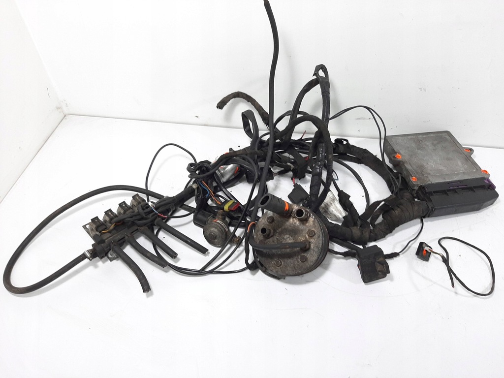 фото №16, Електропроводка газова lpg zavoli alisei direct 4-cyl блок керування 67r-016032 kpl